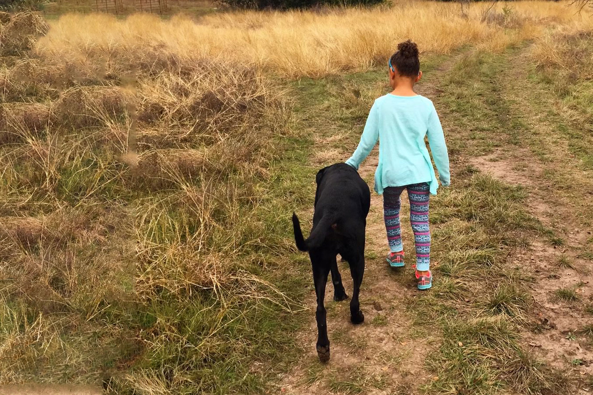 Veterinarian in Temple Vet Near You Barks + Bliss Veterinary Wellness