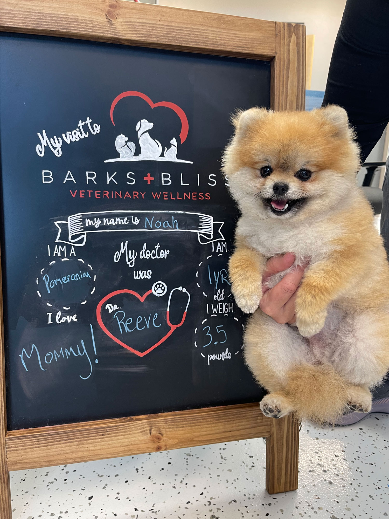 Veterinarian in Temple Vet Near You Barks + Bliss Veterinary Wellness